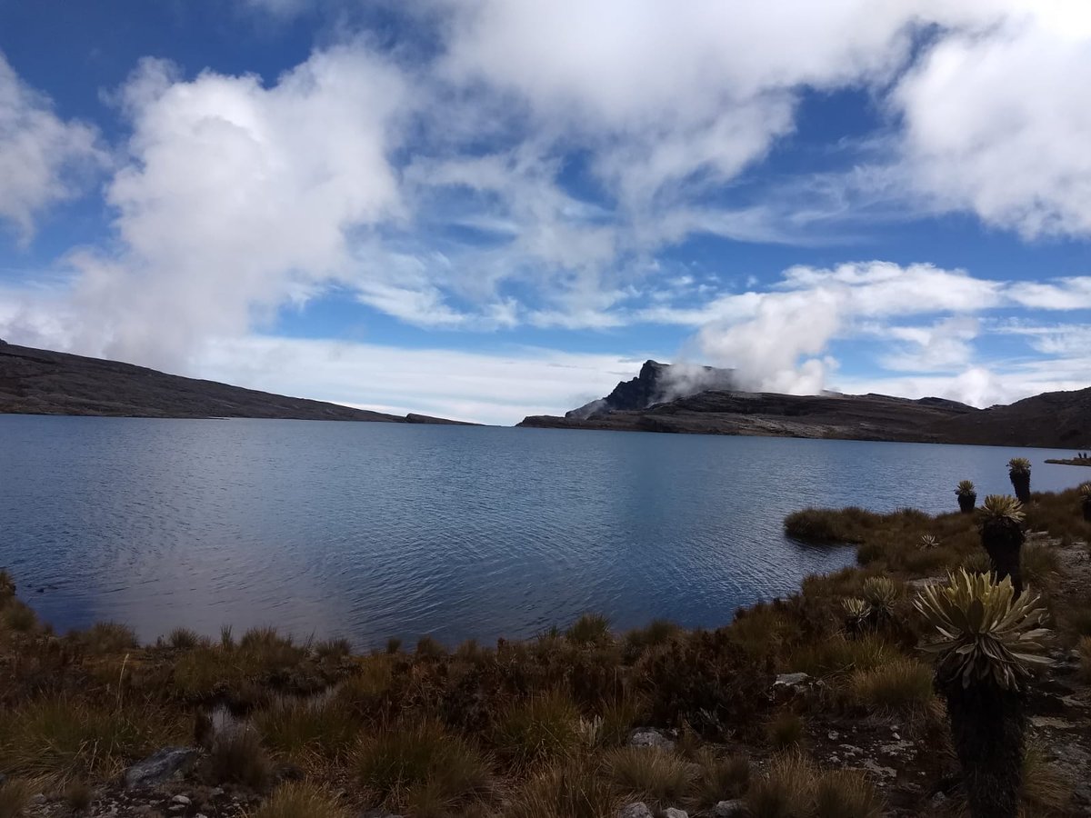 ParquesColombia's tweet photo. ¿Qué tal la cara oriental del Parque Nacional Natural El Cocuy?

Alejandro Mosquera guardaparque del área nos deja deleitar con esta espectacular vista. https://t.co/zrMoXAO5QP