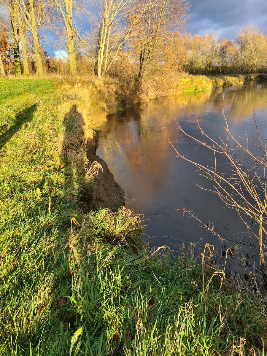 Geert_gabriels's tweet photo. #Roerdal #rodebeek Forel, bronlibellen,sporen van dassen en bevers en vele meanderhalsafsnijdingen in de snelstromende rivier de Roer. Wát een prachtig gebied met hoge #biodiversiteit! @Roerdalennieuws https://t.co/4i7XILY0bK