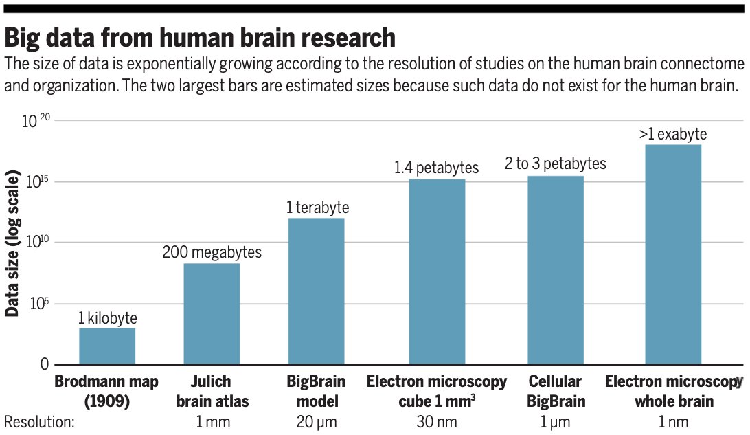 The adult human brain contains ∼86 billion neurons. 

A new #SciencePerspective investigates the types of big data projects that aim to improve our knowledge of brain connectivity, the immense computing power that these efforts require, and more: fcld.ly/pau7r12