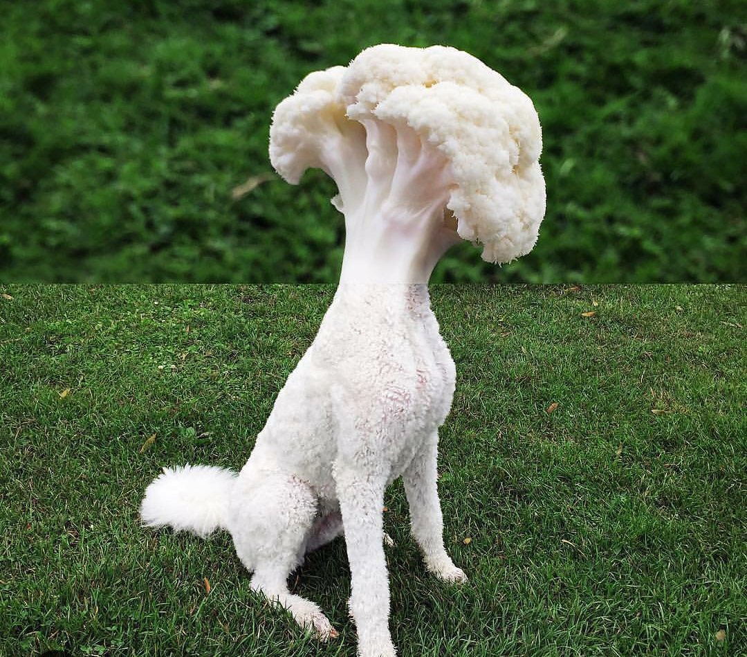 EsotericDad's tweet image. What Santa’s elves have created….is a monstrosity. Will Christmas ever be the same?