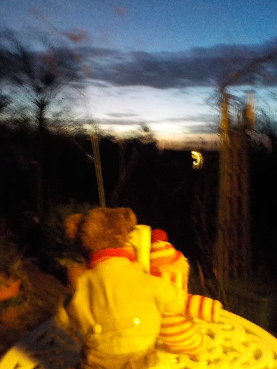 SonningBear's tweet photo. We might try Polar's big camera for a time-exposure when it's back in an hour's time!

#SmallBearsLoveScience https://t.co/fcr6hxaRQW