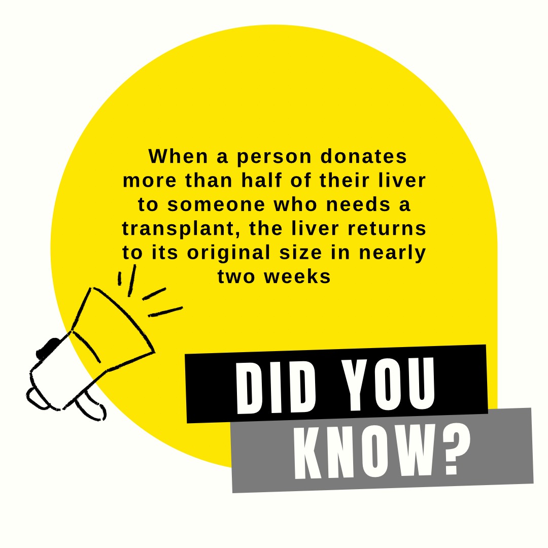 Liver fact of the day!