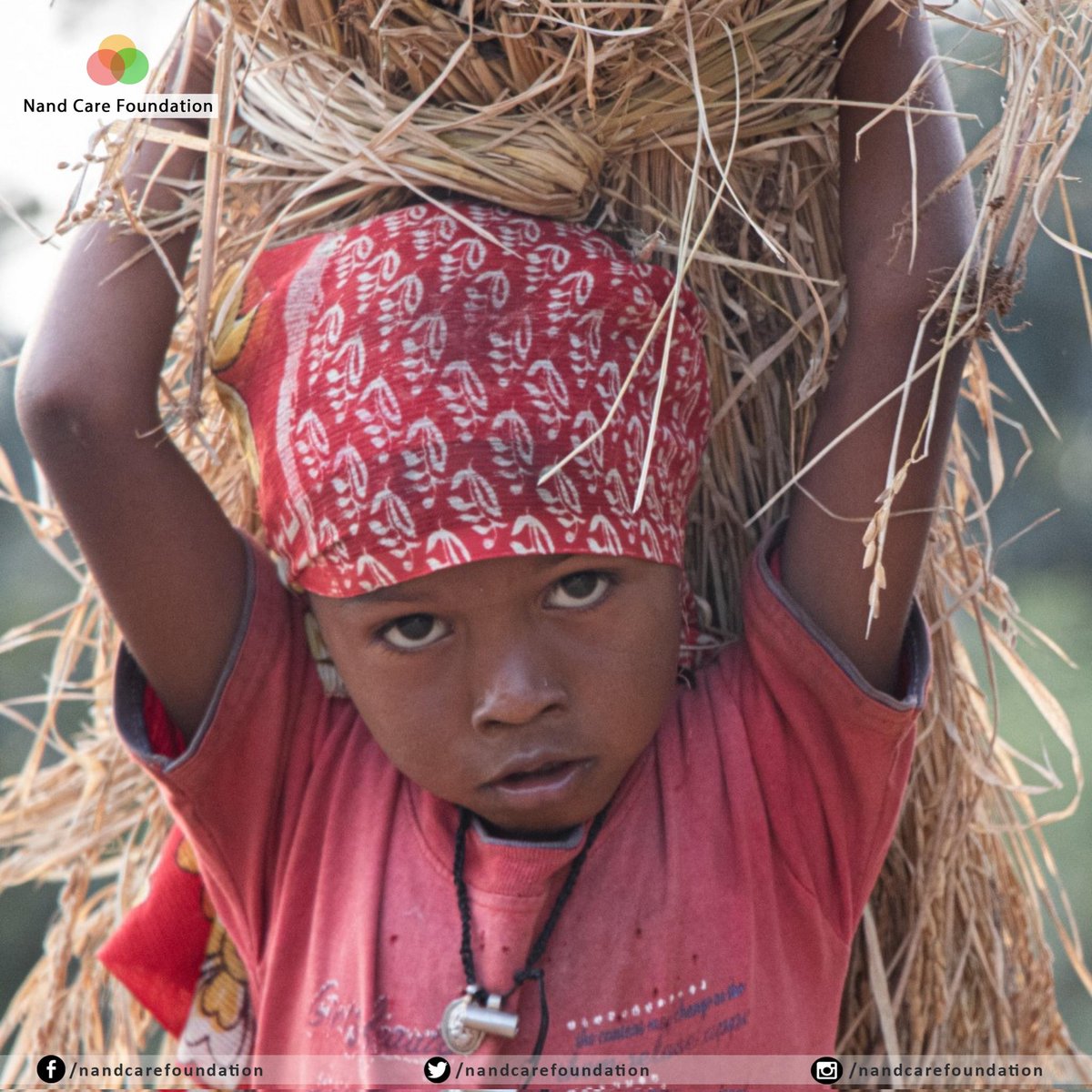ncfdeepak's tweet photo. Underprivileged #Children from a very young age are exposed to hard labour. They are taught to help their parents with work.  Be it harvesting or mining, these children are found everywhere helping their parents for a few extra pennies. 

Can we end this chain reaction? 
#NCF https://t.co/OZOdXGmRkL