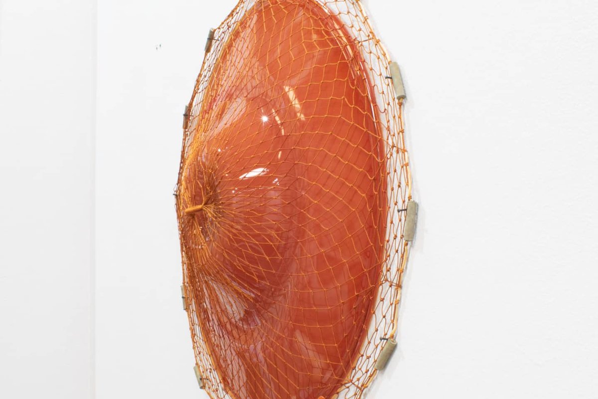 Instituto de visión tweet media