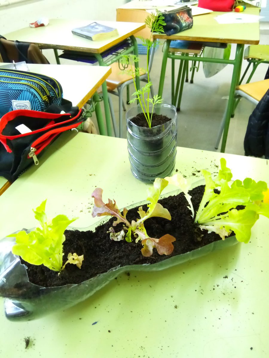 InsDali's tweet photo. L'alumnat de 1rAESO ha acabat de construir el seu hort vertical. Han planificat com el volien, què hi volien plantar i com el regaran. Ara cal cuidar-lo durant tot el curs per tenir-ne una bona collita! Felicitats per tota la feina! @ElPratEA #escolessosteniblesprat https://t.co/a6hKg3J6Ew