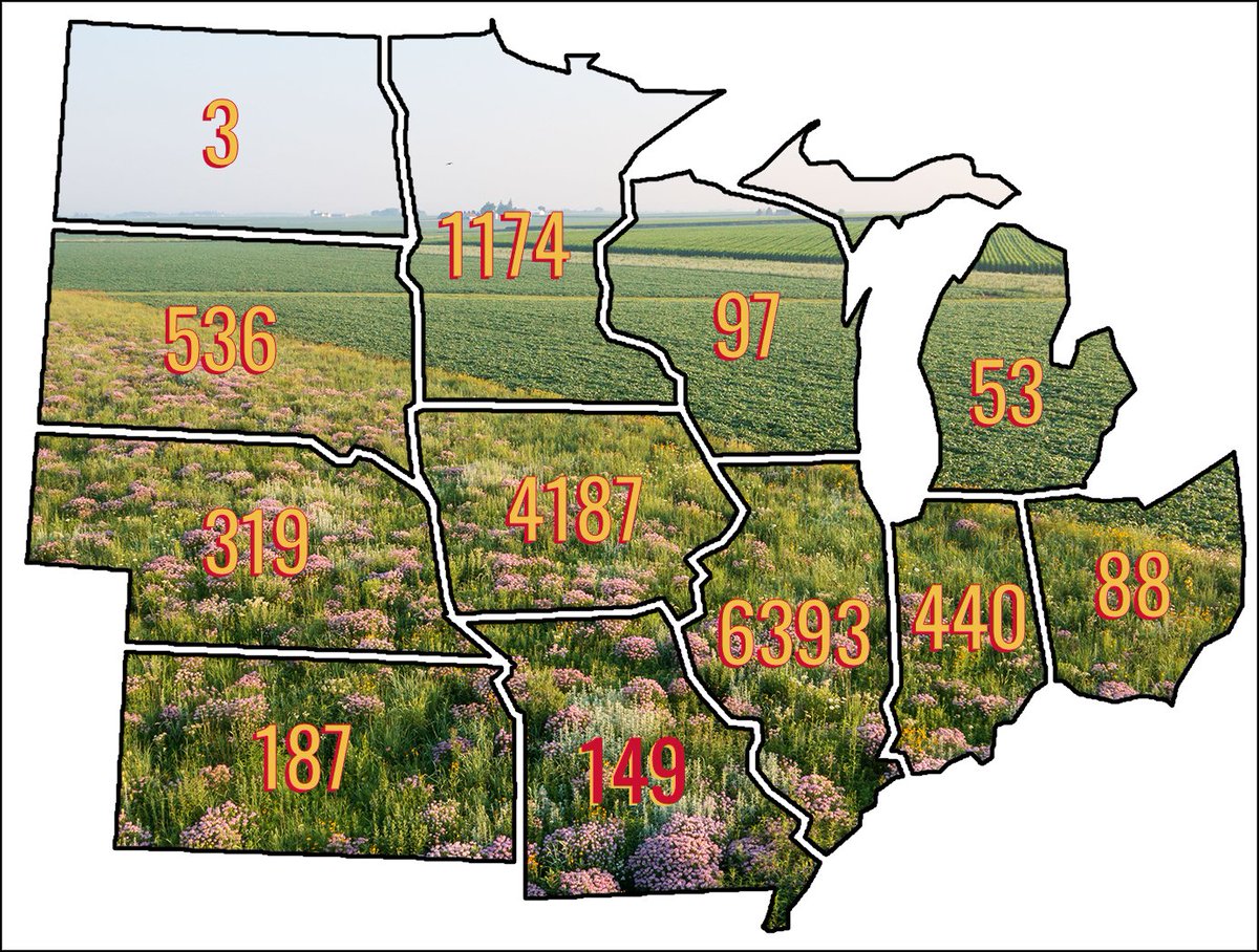 Latest numbers for prairie strips in the Conservation Reserve Program (CP43). Not shown here are acres in CO, TN, &amp; MD. MO has no CP43 but some are coming  in 2022, acres listed are private acres we've helped establish. 14K+ acres in 14 states! Illinois is crushing it!