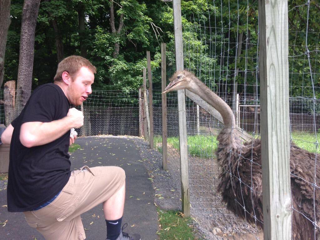 SassMaster_23's tweet photo. As it’s my favorite day of the year once again: HAPPY BIRTHDAY @WayneGarlick, party like no emus are watching 😤🤙🏼 https://t.co/nkuI9yvtBY