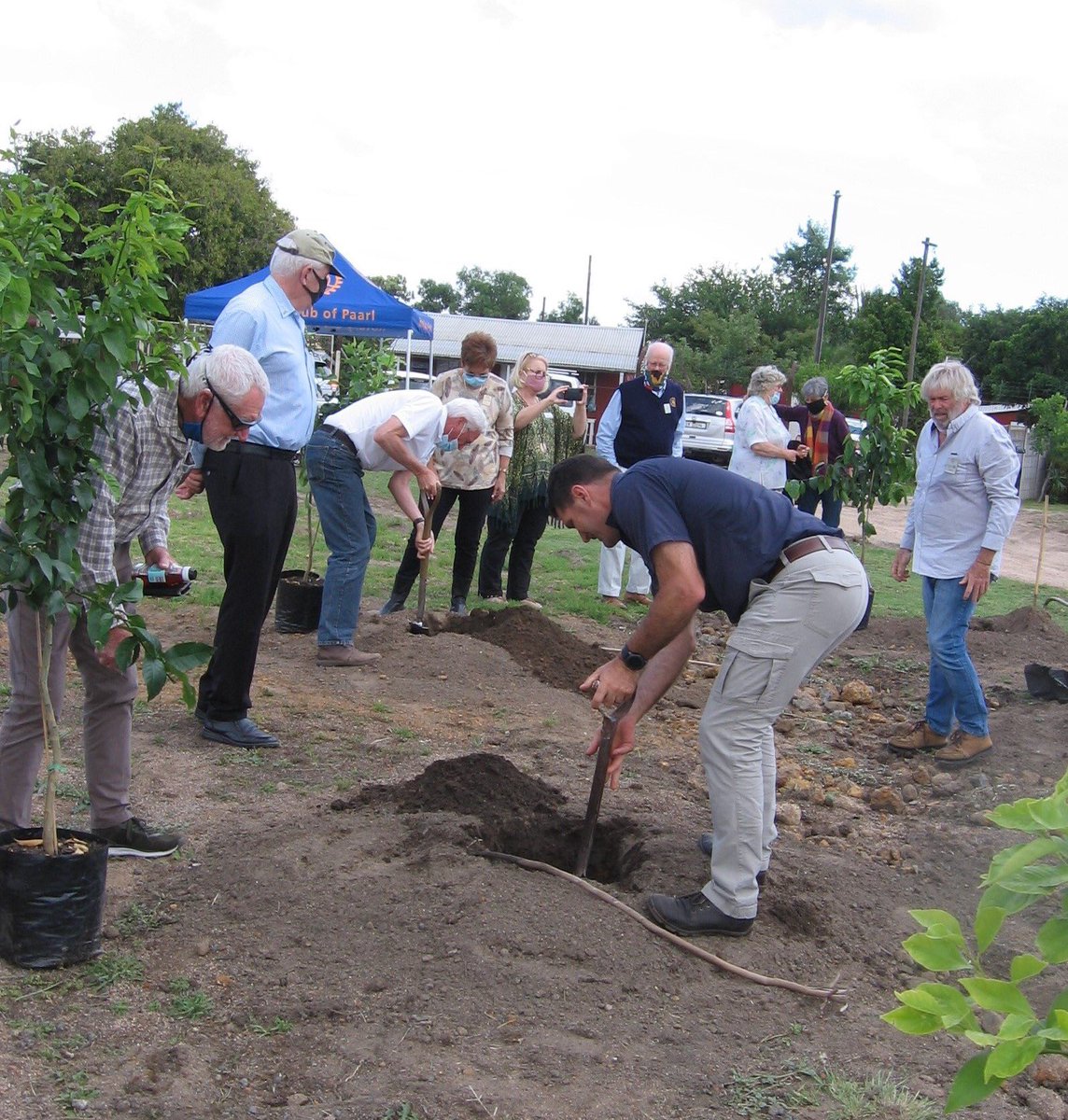 The Rotary Club of Paarl has been involved in the upgrading of the Kerith Retreat for mental patients in  Muldersvlei for the past year. After the upgrading of the kitchen and laundry and some housing units, the club has launched a food garden. Here they plant some lemon trees.