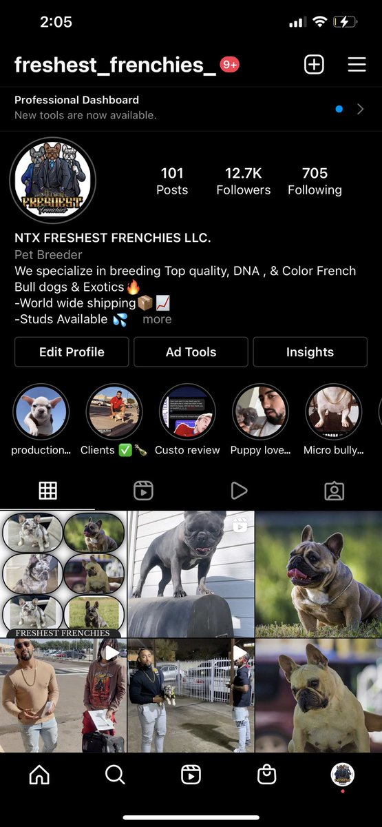 WrightCrystan's tweet photo. Tap in 

@Freshest_Frenchies_ via IG  

🔥🔥🔥🔥🔥🔥🔥🔥🔥🔥🔥🔥🔥🔥 https://t.co/TTUPSzTCc3