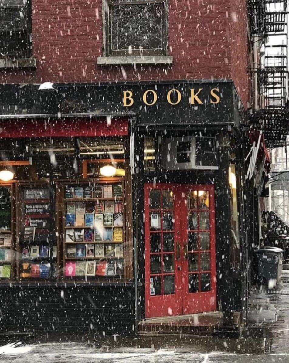 FotevaTedi's tweet photo. When snow is falling, the world falls silent and everything seems to slow to a peaceful pace. This is the perfect time to enjoy the pages of a delightful book. Can you guess what title I’ll choose? https://t.co/eXrJQ10vsm