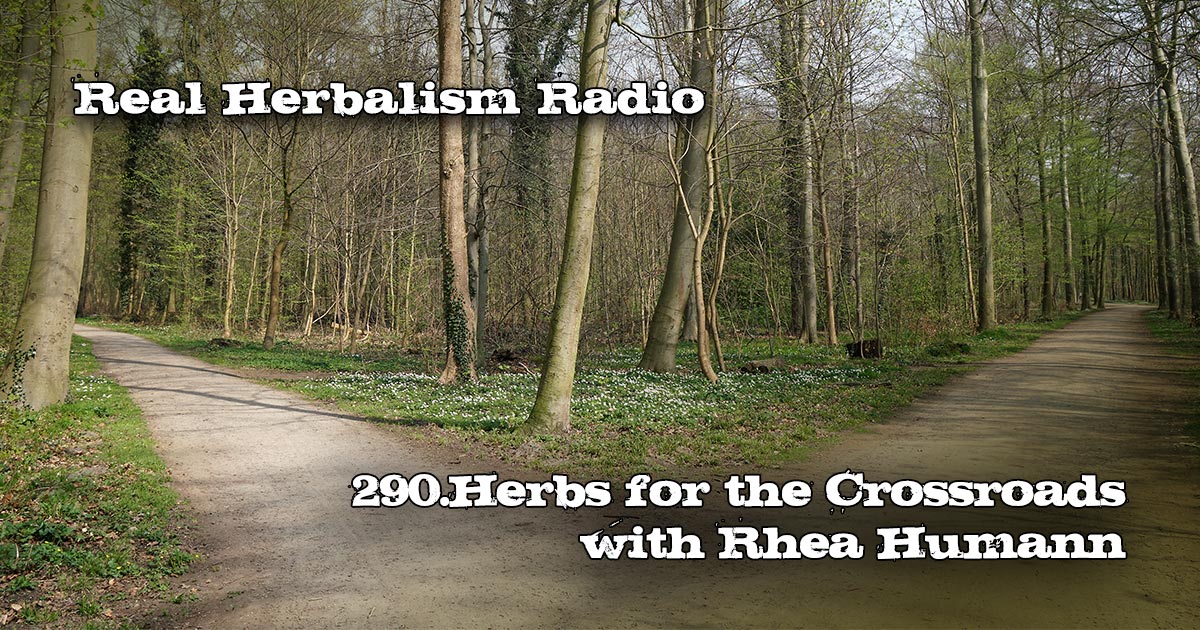 PrctklHerbalist's tweet image. Rhea Humann @pdxpestle joined us on Real Herbalism Radio this week to talk about Herbal Healing for handling change...as in the Crossroads of life.
.
Listen in to Real Herbalism Radio on your fave podcast service.