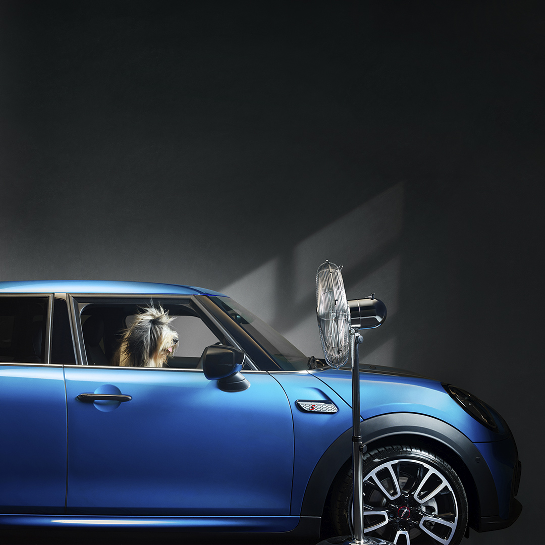 FairfieldMINI's tweet photo. Did you know: 9/10 dogs are happy in a MINI. How can you tell? They’re calm, confident, chilled. Ready to get in the car and never ask ‘are we there yet?’. To find out why they’re fans, head over to https://t.co/HrnHktar05 https://t.co/nM0LvQdmNx