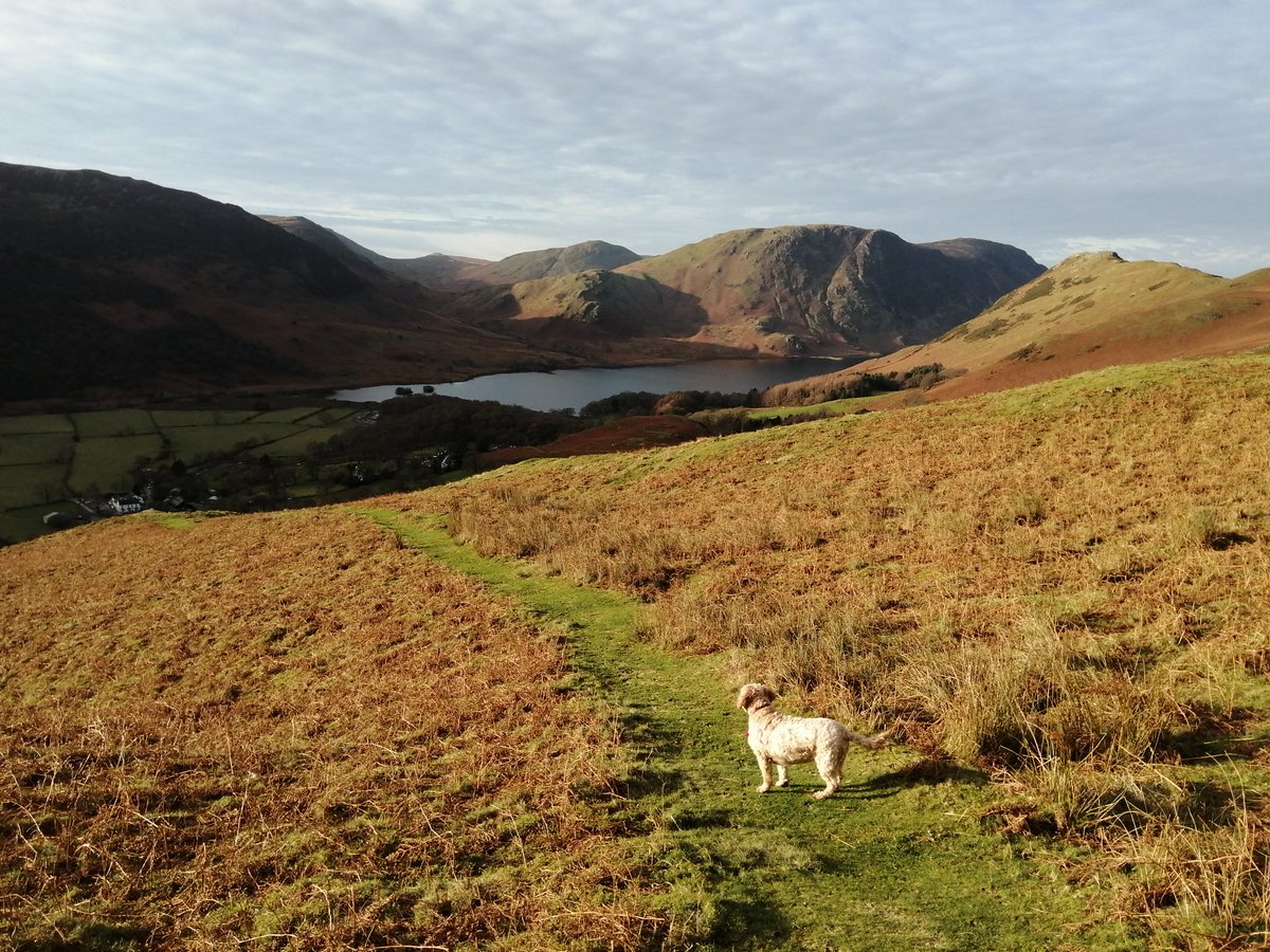 LinnettHill's tweet photo. Eventful! π³ βοΈ
We abandoned our plans of walking #Crummock and #Loweswater (as well as our car on the #NewlandsPass) and instead walked up #HighSnockrigg and dropped down into #Buttermere to walk round the lake... Absolutely stunning views π
#Keswick #TheLakeDistrict https://t.co/8j8EeHrhSF