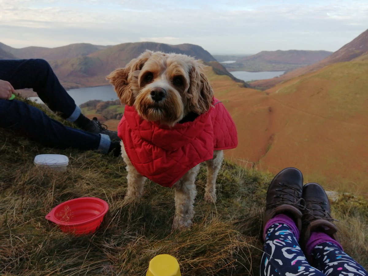 LinnettHill's tweet photo. Eventful! π³ βοΈ
We abandoned our plans of walking #Crummock and #Loweswater (as well as our car on the #NewlandsPass) and instead walked up #HighSnockrigg and dropped down into #Buttermere to walk round the lake... Absolutely stunning views π
#Keswick #TheLakeDistrict https://t.co/8j8EeHrhSF