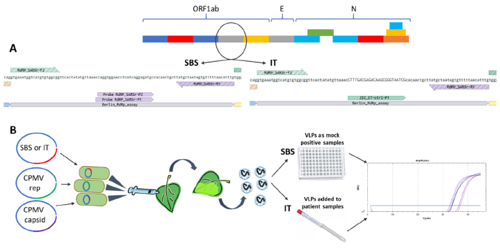Lomonossoff_Lab tweet picture