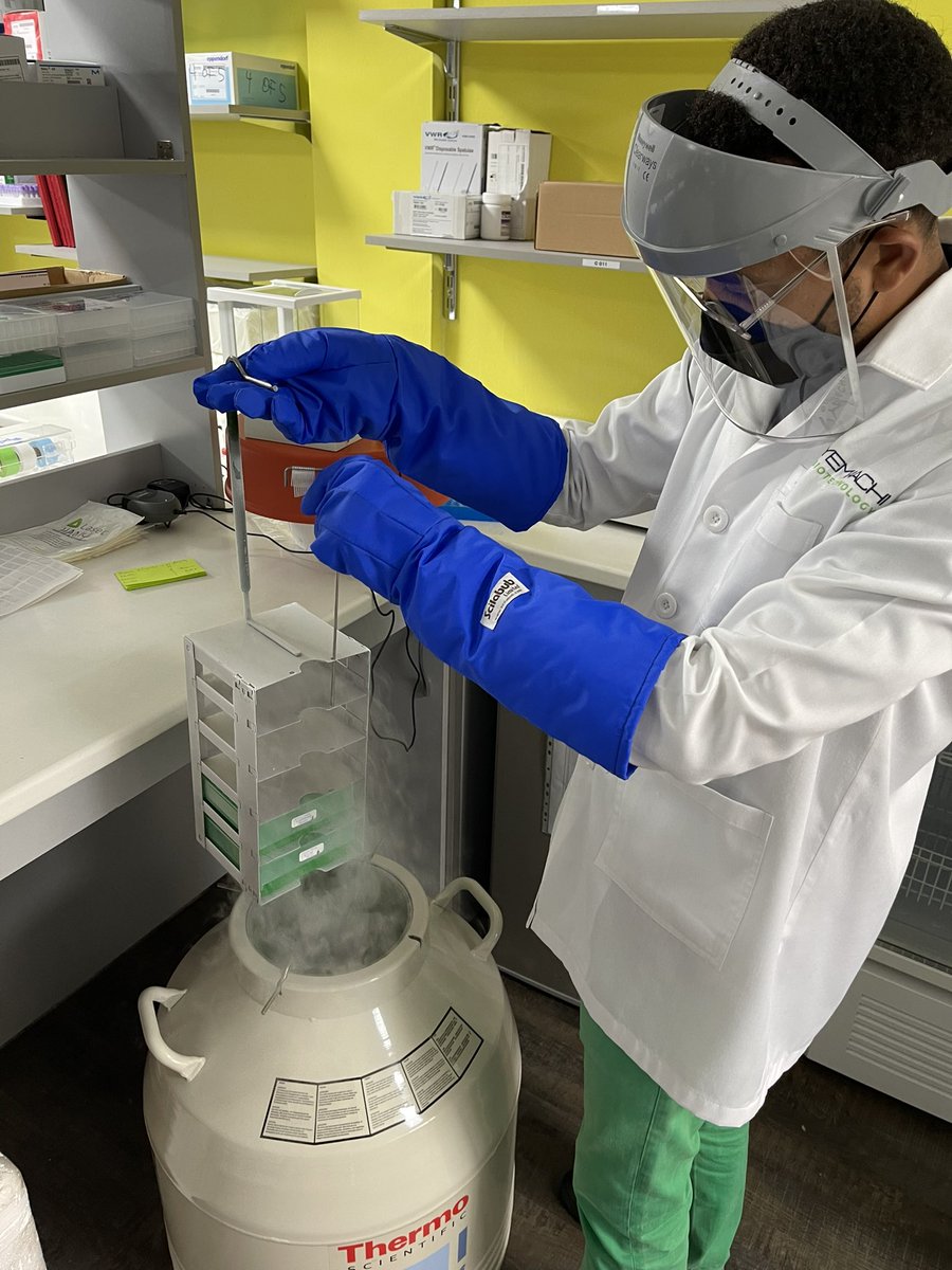 YemaachiBio's tweet photo. We’re back in the lab, after a successful Day 2 of our Heritage Study. The purpose of this study is to understand the immune response of people of African descent to COVID-19 vaccines https://t.co/UB1M6PPWgt