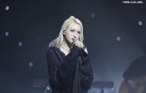 adek cici, omey. tweet media