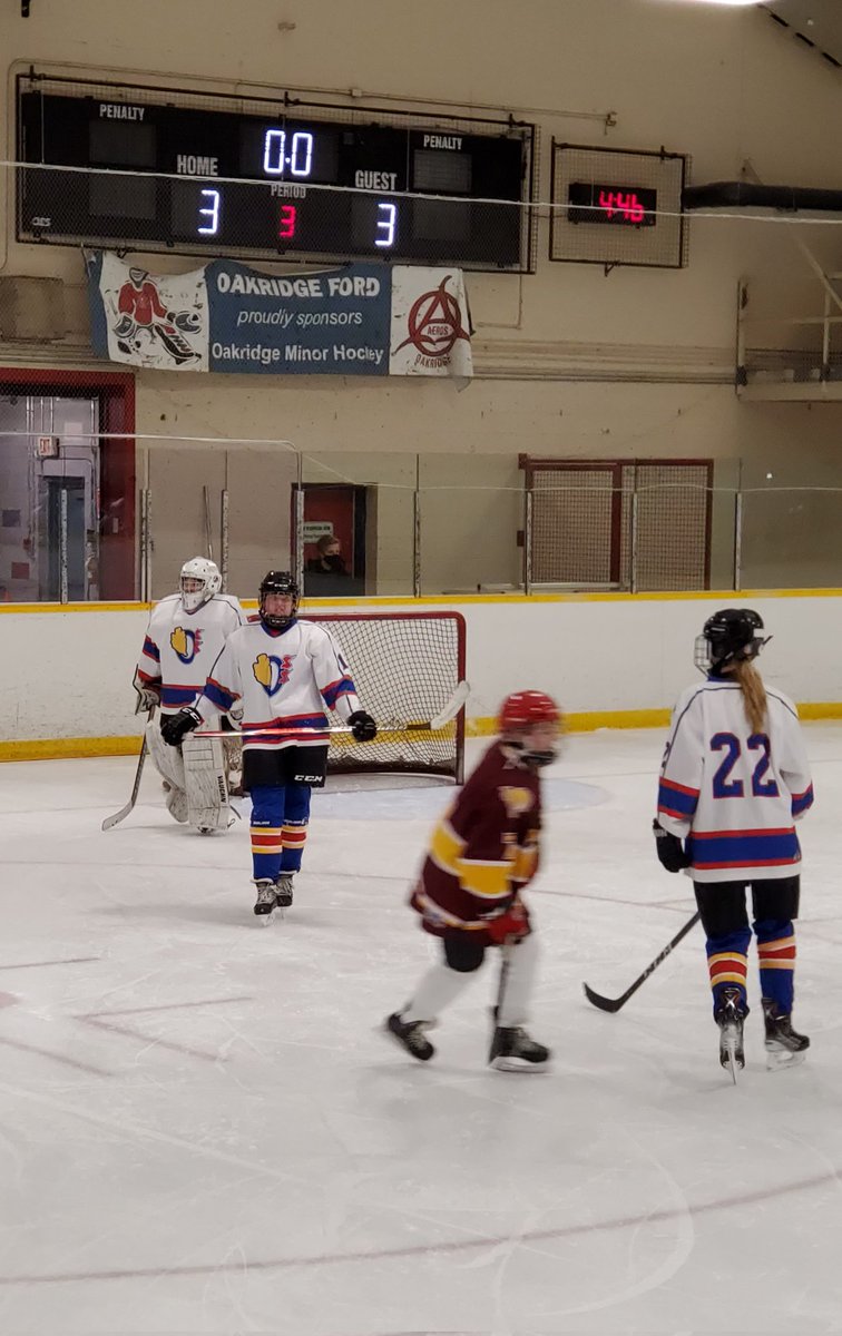 OakVisual's tweet photo. Oakridge Girls Hockey played an exhibition game tonight against Banting - tie game 3,3 ! Way to go Oaks! @Oakridge_SS https://t.co/7CnwOULnJ8