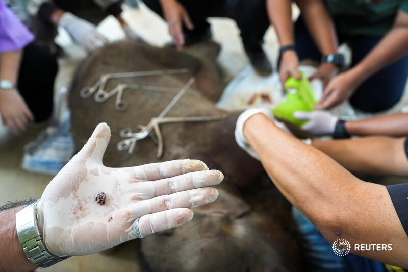 Reuters Pictures tweet media