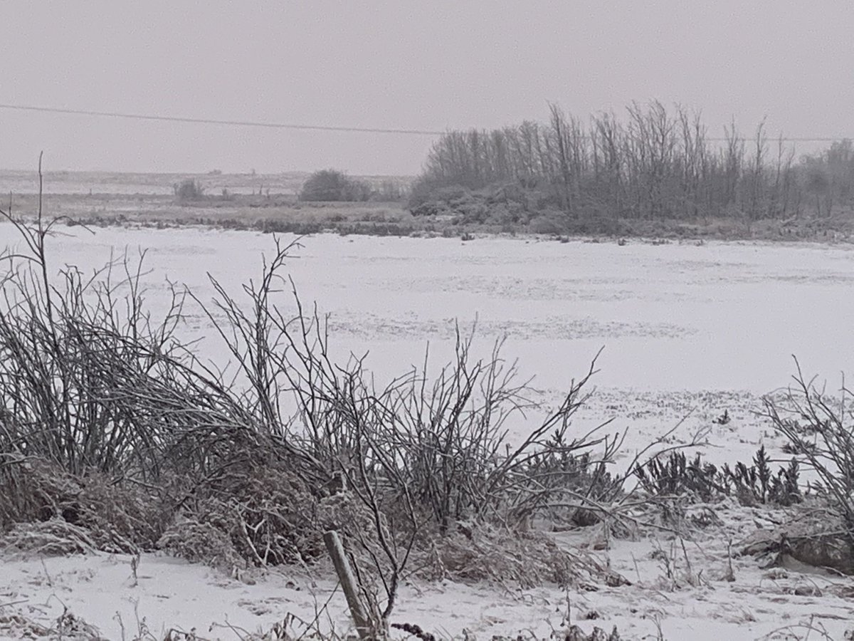 ecohydro_gal's tweet photo. Ah, look! The #wetlands finally have some water! #prairiepothole https://t.co/k20UDBjiVA