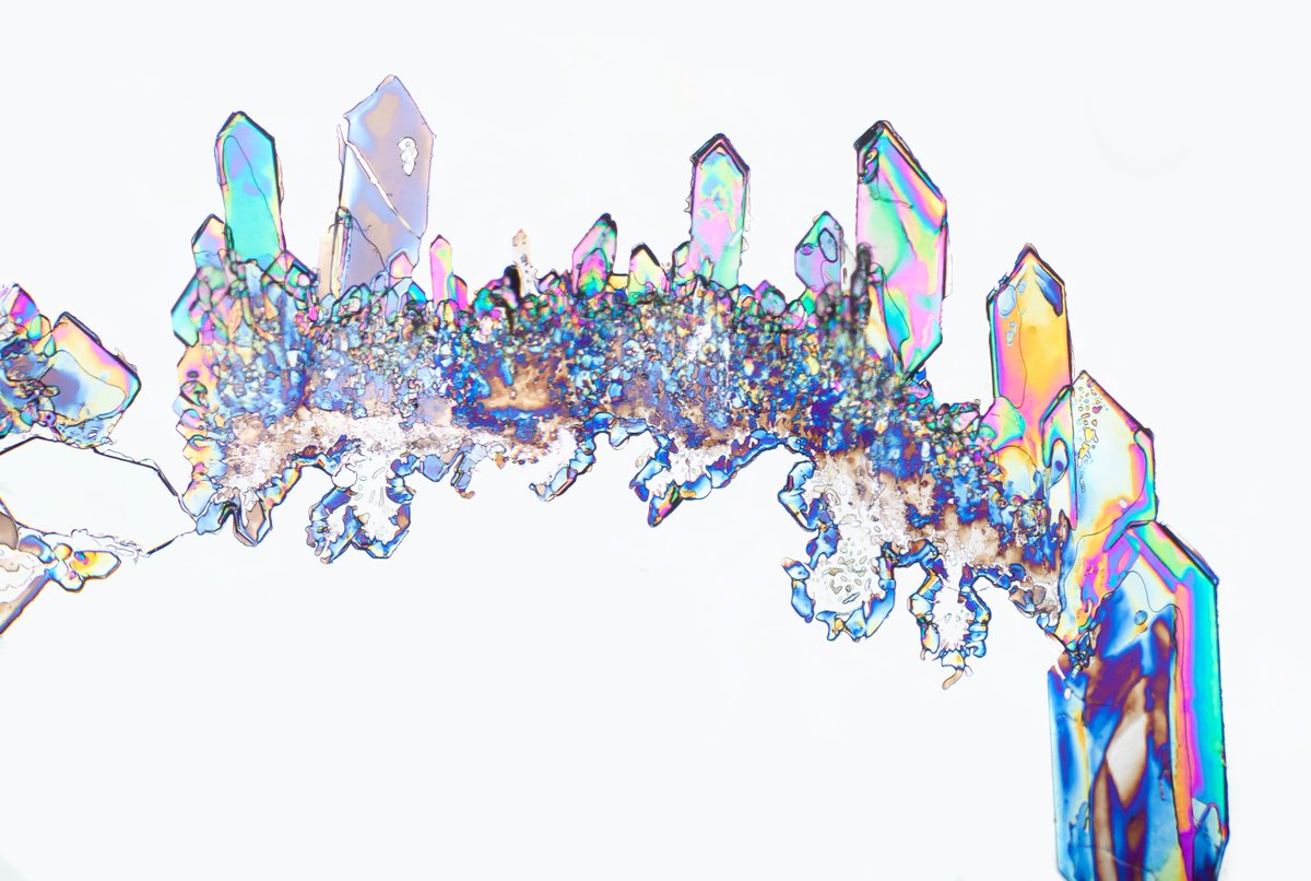 abftftw's tweet photo. "Bridge to Candyland" — REFRAXIONS SERIES 0 — (1/5)
Auction ends in ~24 hours (at 5:00PM CST the auction will be over and no more bids will be accepted)

Min bid 100ℏ, increments no less than 20ℏ

#HederaNFT #NFT #NFTauctions https://t.co/CJvANAKeB9