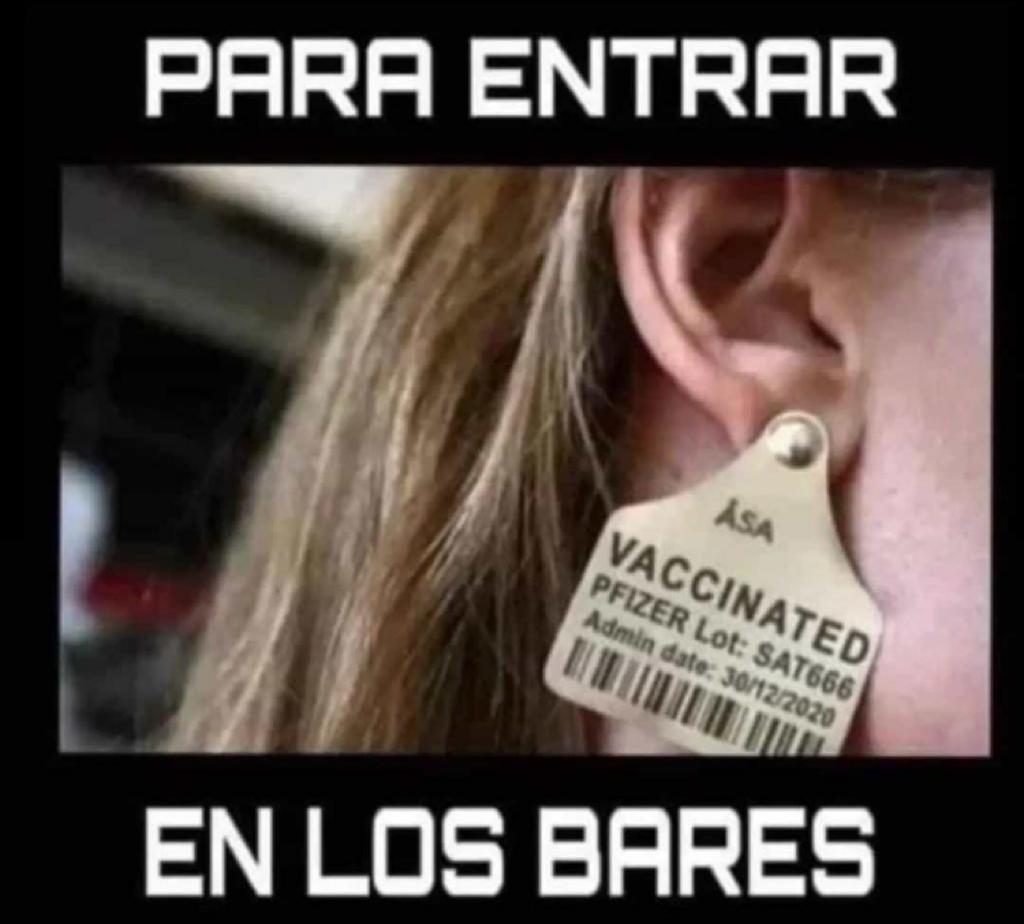 CERTIFiCADO COVID!! 🤣🤣🤣🤣🤣🤣🤣🤣🤣🤣🤣🤣🤣🤣