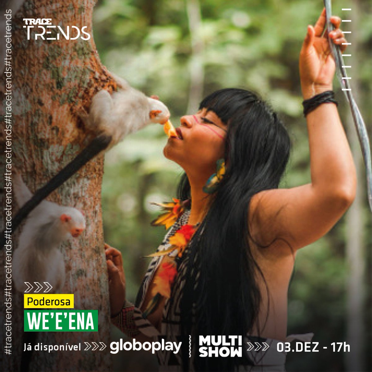 TRACE BRASIL tweet media