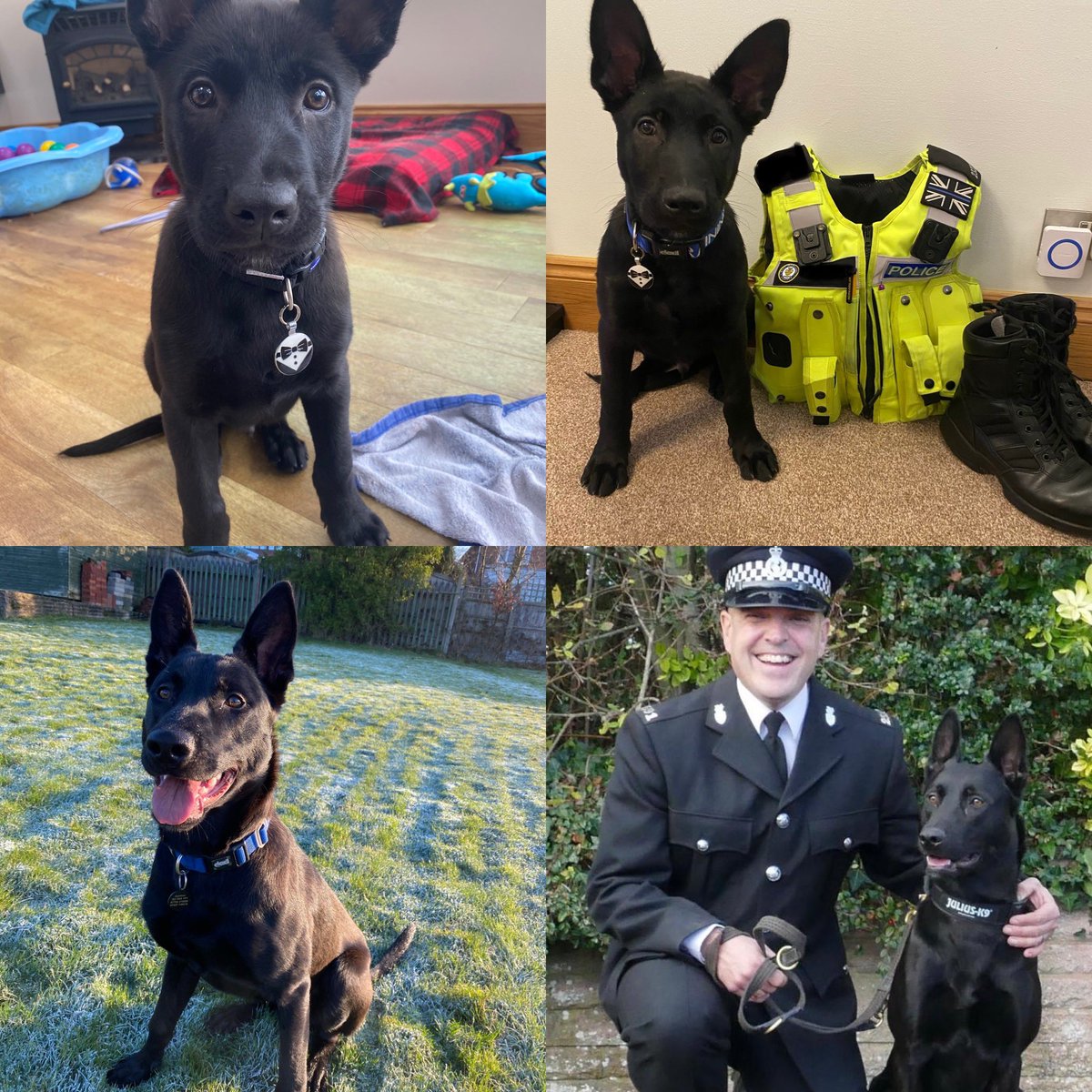 Katiii Gards tweet media