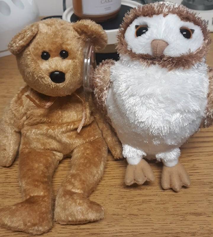 PeppermintStwk's tweet photo. Roll initiative! 🎲⚔️✨

⬇️ Future owlbear hybrid beanie baby ⬇️ https://t.co/eF1eJCYVGE