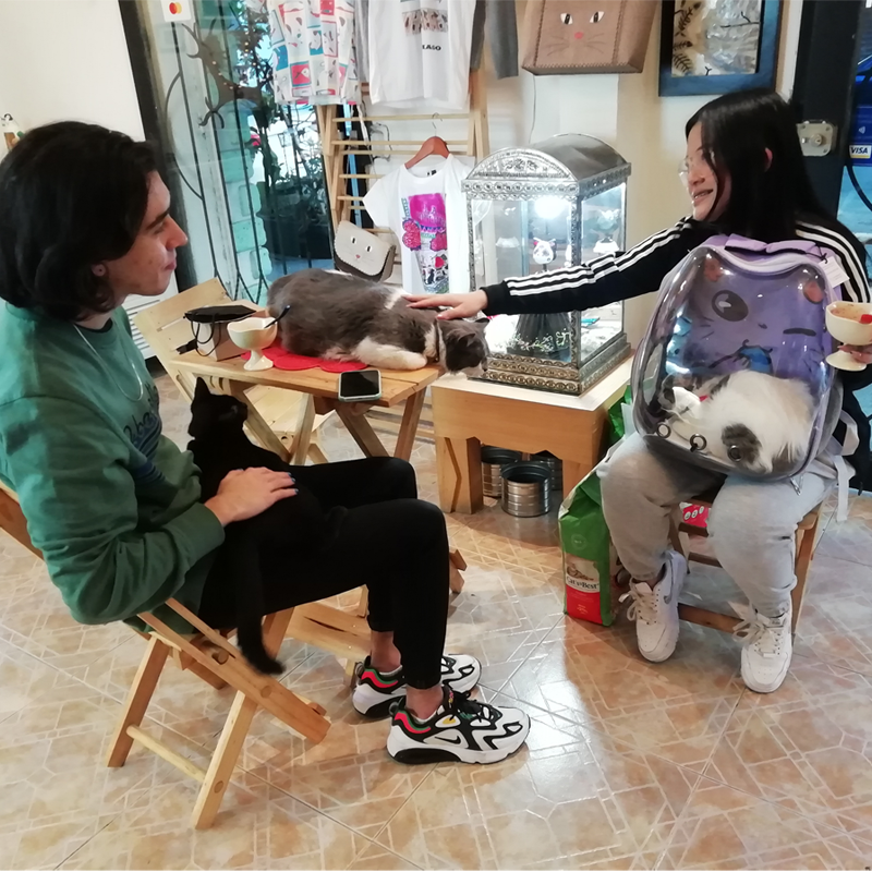 GarrosCCR's tweet photo. Nuevos amigos, los que en #DeliGATessen hacen la dupla #Tom y #Guetaa .
#veganicecreams #cats #friendlypets #cdmx #SoyFanDeGuetaa #SoyFanDeTom #Tom #Guetaa https://t.co/qxqBNOfkXf