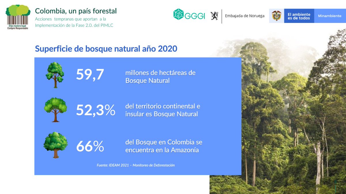 GGGICol's tweet photo. #PIMLC10Años #EnVivo | Carlos Garrid Rivera de @MinAmbienteCo, y @ValenciaIvanD, coordinador de políticas de @GGGICol, presentan las acciones tempranas que aportan a la implementación de la Fase 2.0. del #PIMLC.  
¡Conéctate al evento!👉 https://t.co/2IuiTM5DLH https://t.co/wTSJs6Z1LN