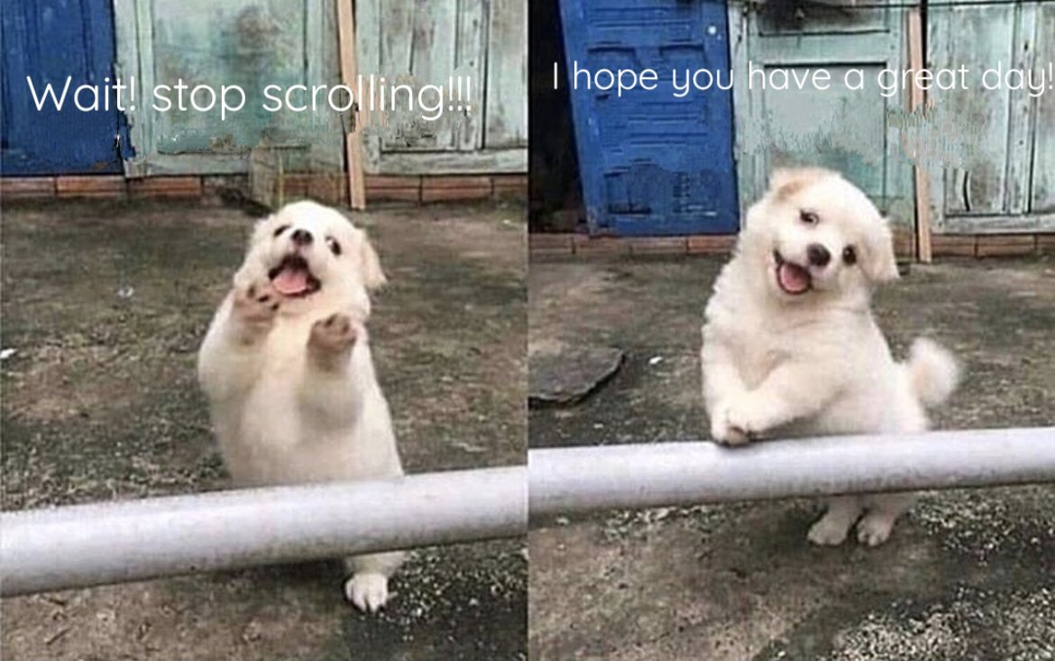 RespectfulMemes's tweet photo. https://t.co/OExWtBF0fw