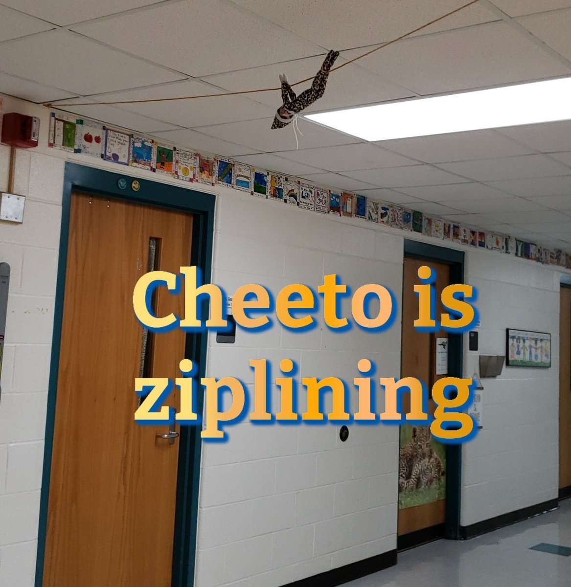 Cheeto the Elf was ziplining today!!
#cheetahpride
#elfmagic
#Weareinthistogether