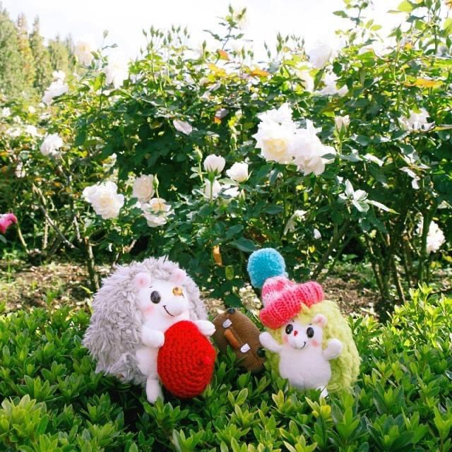 RainbowPockets's tweet photo. バンザイ🙌😊
#ぬい撮り #rockandpaper https://t.co/k9DhizDMba
