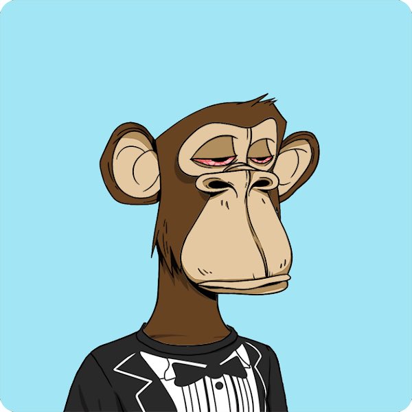 nerfthethird's tweet photo. @jakethedegen @jimmyfallon @BoredApeYC No way! we have the same NFT! and i got mine for free by using the right click button on my mouse! funny how the world works, isn't it? https://t.co/psK6o5Rj8R