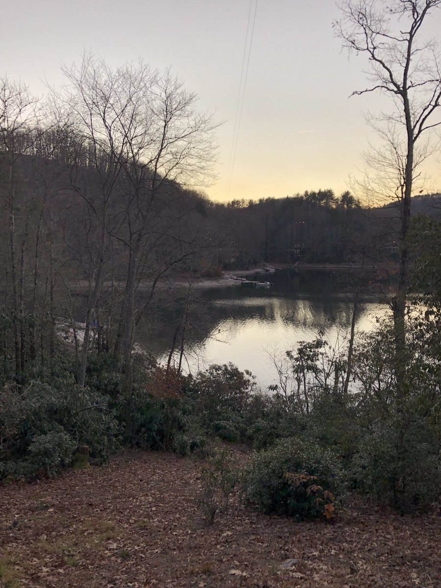 ljseiber's tweet photo. ⁦@DukeEnergy Please help me understand. Is this “imminent threat” or long term planning? Shocked to come home and see our 2-3 ft baby pines cut down located 10 ft away from the 90 ft power line overhead. ⁦@Asplundh_Tree⁩  #environmentallyfriendly 
Is cleanup included? https://t.co/b6Mzc1gx0O