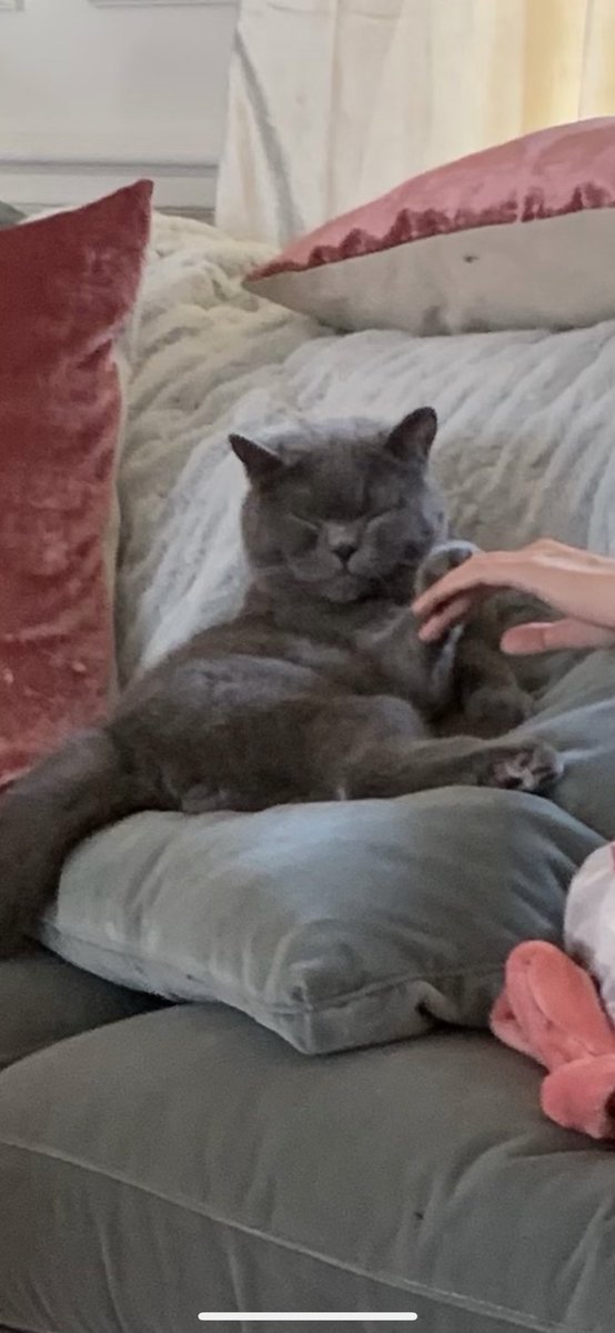 jarkin019's tweet photo. Sometimes we hold hands https://t.co/FrQ3gkGd43