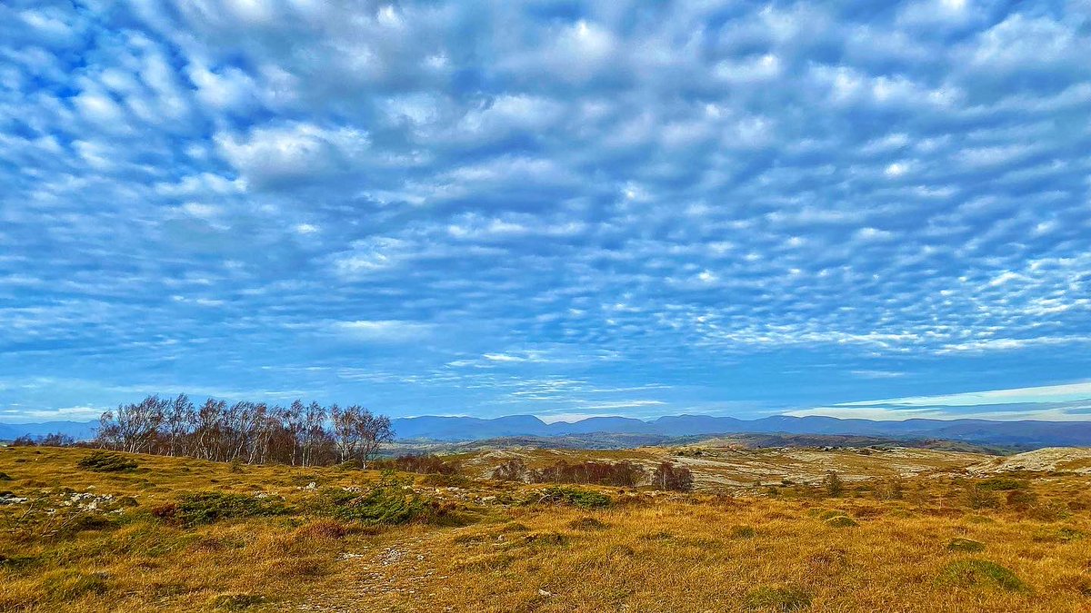 Nothing quite prepares you for the unique landscape of Whitbarrow Scar…
#peaceandtranquility @cumbriawildlife #walking #cumbria #walkinginthelakes #walksinnature #whitbarrowscar #lordsseat #limestone #woodland #woodlandwalks #stunningviews #morecambebay #cumbrianmountains