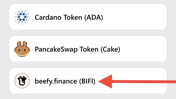 SafemoonWarrior's tweet photo. Looks like Beefy Finance $BIFI has been added to #SAFEMOON SWaP. https://t.co/8fxTYNh2rg
