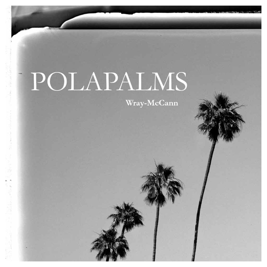 wraymccann's tweet photo. I am excited to announce that I’m releasing the first 22 Images of my Polapalms series as NFT’s. Each NFT will be accompanied by a signed, archival 24” x 36” print from the Pontiac Press &amp; a signed special edition catalogue of the series. #nft #photo https://t.co/692aw3jOLt https://t.co/HEcOhTldRs