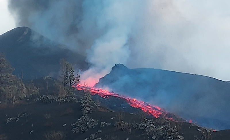 Queens College | The City University of New York tweet media