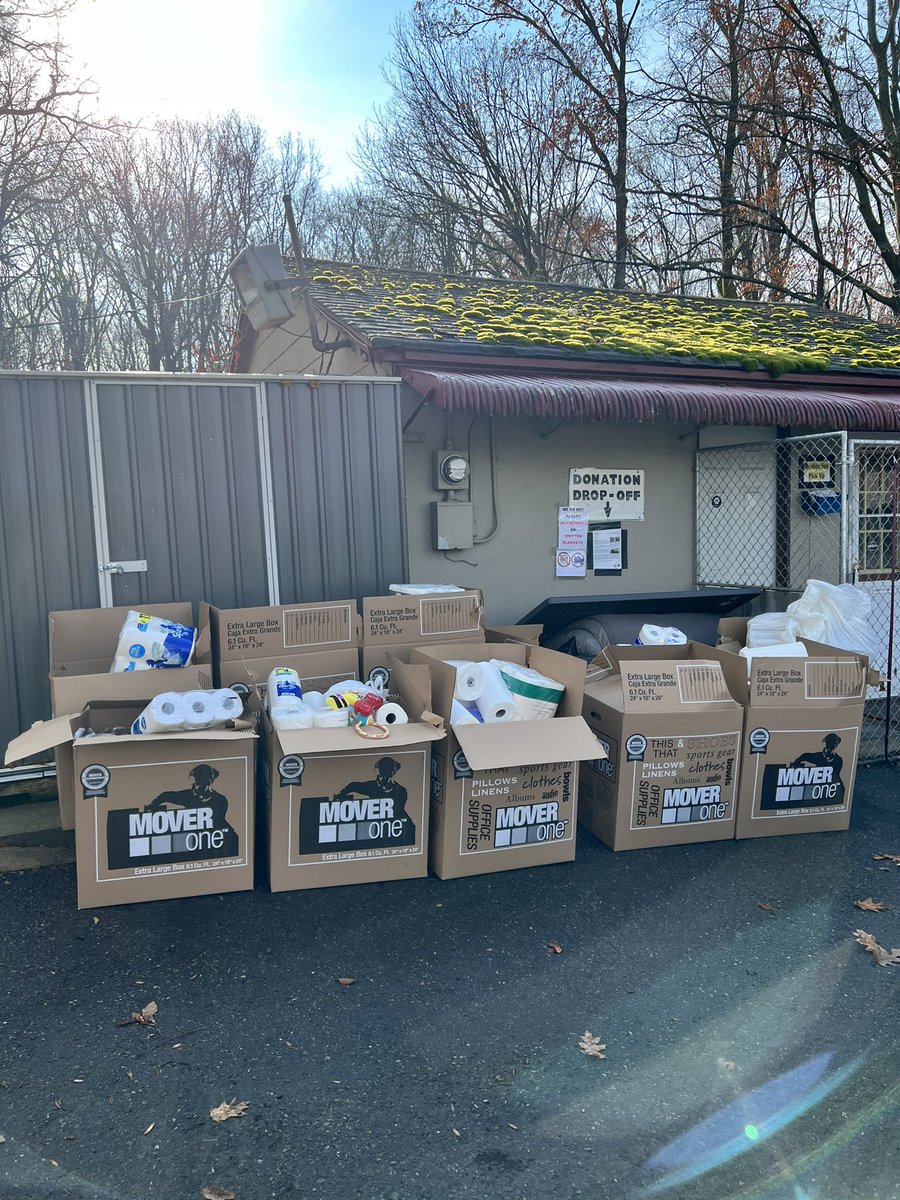 Kate Brady tweet media