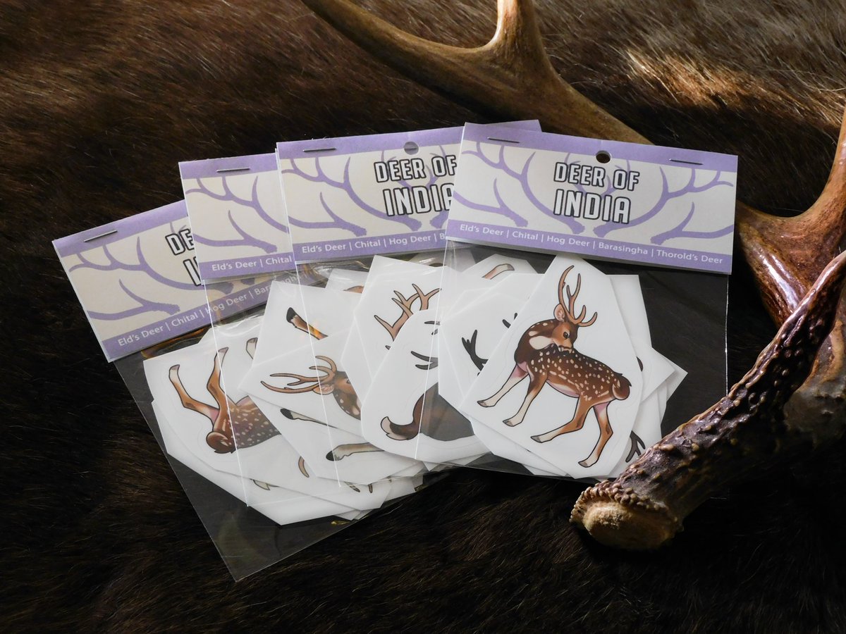 Deertush's tweet photo. I finally set up an etsÿ shop 😭 I have deer stickers available now and will hopefully have more content soon! Link is in the reply! https://t.co/I4XSvWXVnW