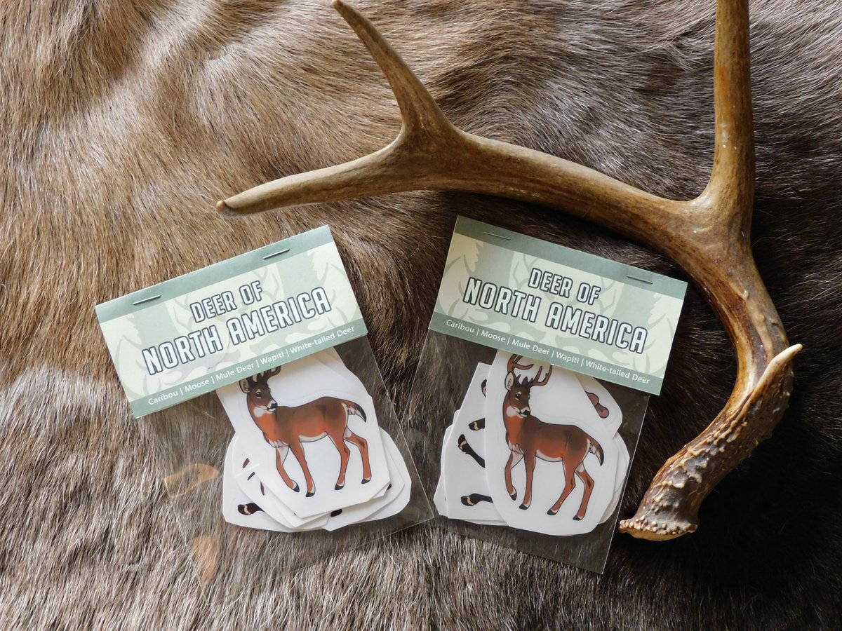 Deertush's tweet photo. I finally set up an etsÿ shop 😭 I have deer stickers available now and will hopefully have more content soon! Link is in the reply! https://t.co/I4XSvWXVnW