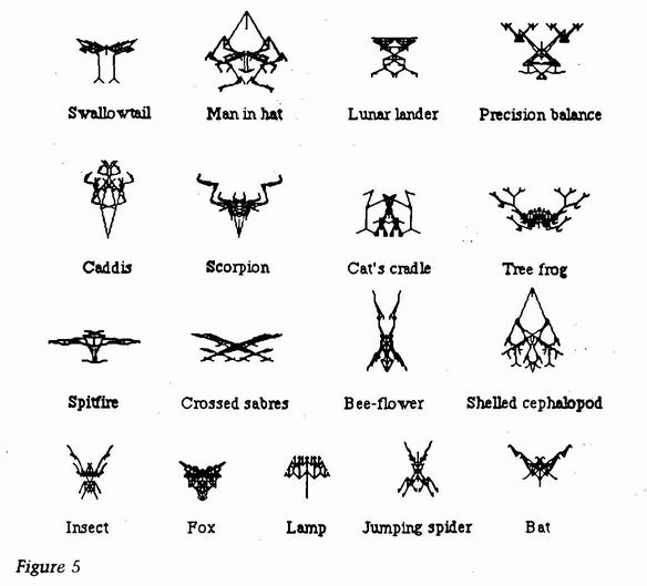 memoakten's tweet photo. ... and what I believe inspired it all,
@RichardDawkins's Blind Watchmaker (1986). A wonderful book (as is everything I've read of his) where he simulates Darwinian evolution for the first time (AFAIK) to evolve #biomorphs
Also talks a lot about #bats :)
https://t.co/n75NQypihz https://t.co/ZiIjFtKewt