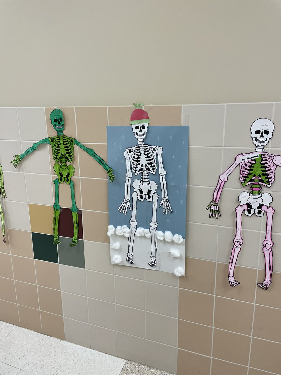 William02007953's tweet photo. What is a better way to review Skeletal system make a holiday themed skeleton#NCISDCTE # CTENCISD https://t.co/hGyMHU27BK