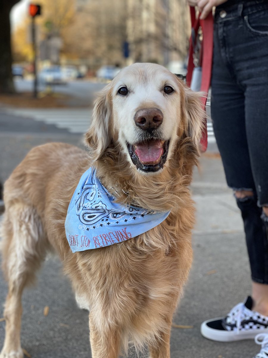 OrangeVol86's tweet photo. WARNING: Not your typical Twitter content ⚠️ but maybe it will bring a smile to someone.

When it’s 70 in December and you have a chance, you #GetOutside. Bonus points when you run into your daughter and “grand-dog” 🐶downtown. (Jackson got photo dibs). #dontstopretrieving https://t.co/8kR7UrVzbu