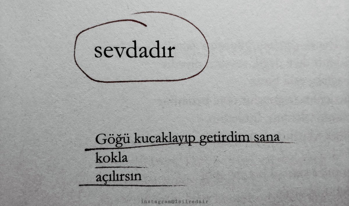 1siiredair's tweet photo. Göğü kucaklayıp getirdim sana...

Arkadaş Z. Özger https://t.co/s0cXS0ENh8