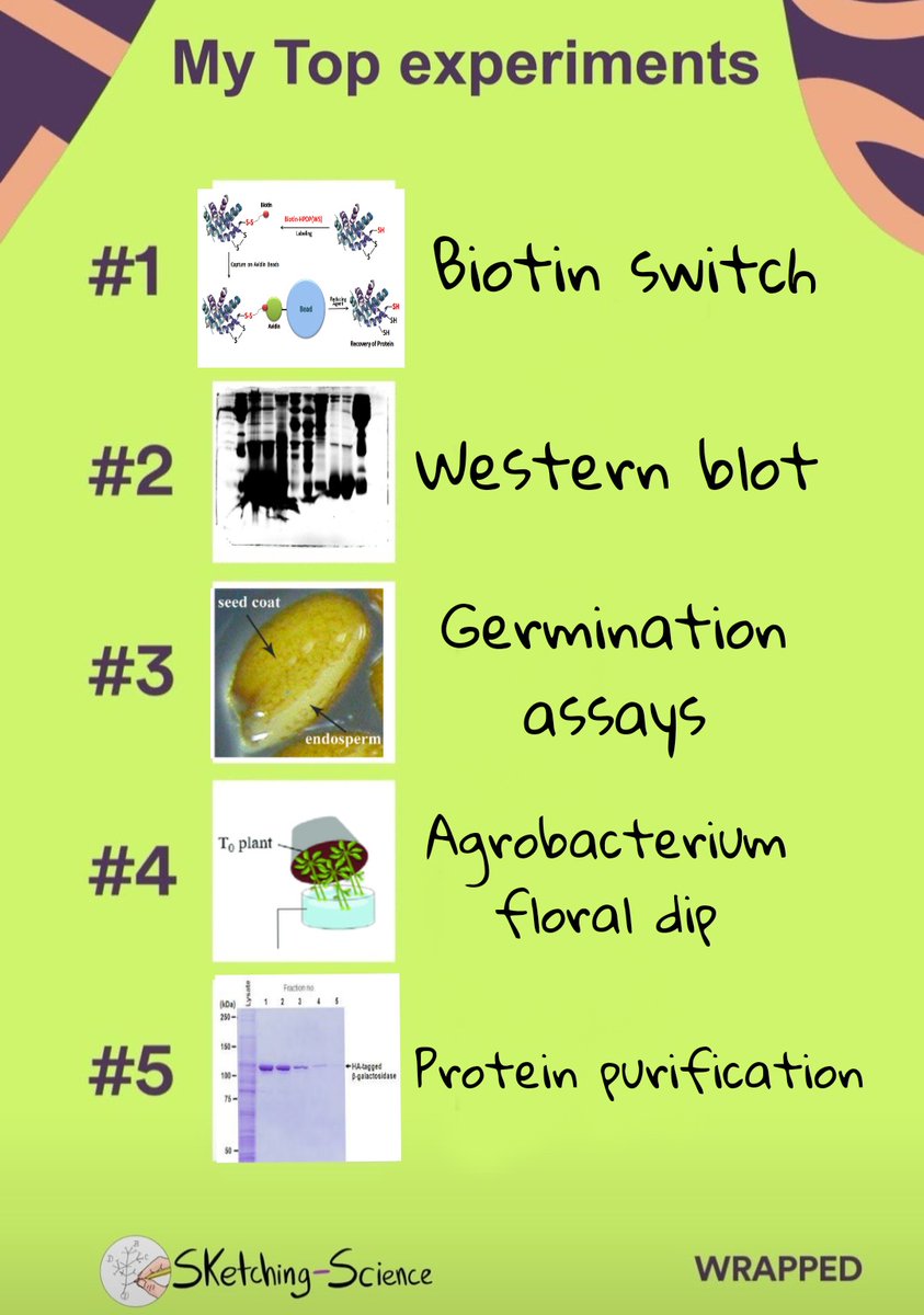 Capilla_mp's tweet photo. 2021 top experiments. To be honest, I don't know how many times I've done them throughout this year (and it's not over yet 😅) #sketchingscience
#wrapped2021experiments @sketchscience https://t.co/QFyypuSm7J