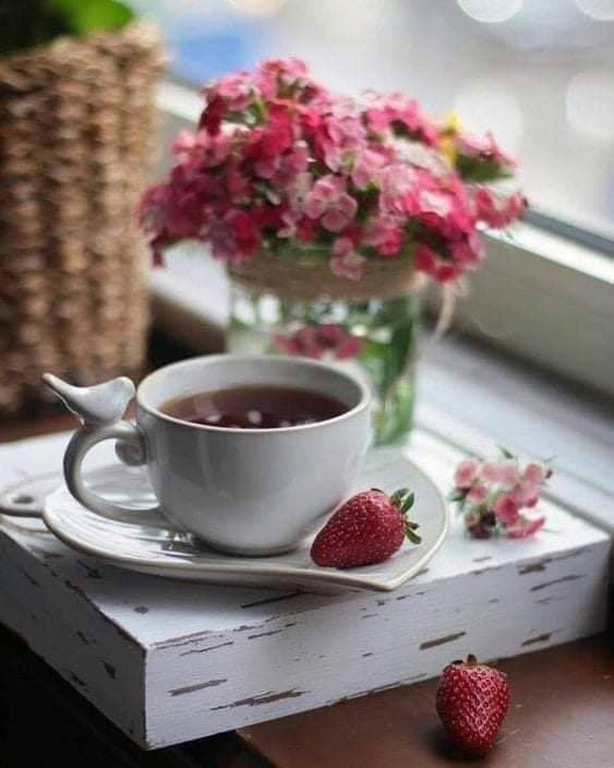 كل الطرق إلى الله مزهرة...
توج الله  مساكم بذكره...وعافاكم ..وعفى عنكم بفضله 
    🌺.........  مساء   الخير  .......🌺